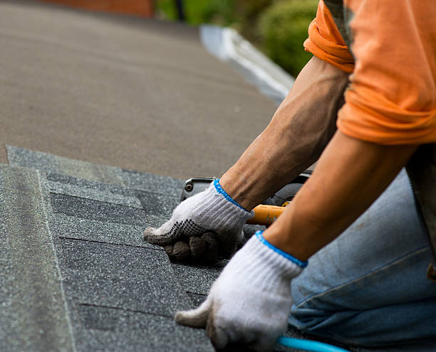 Best Roof Maintenance Services  in Holley, FL